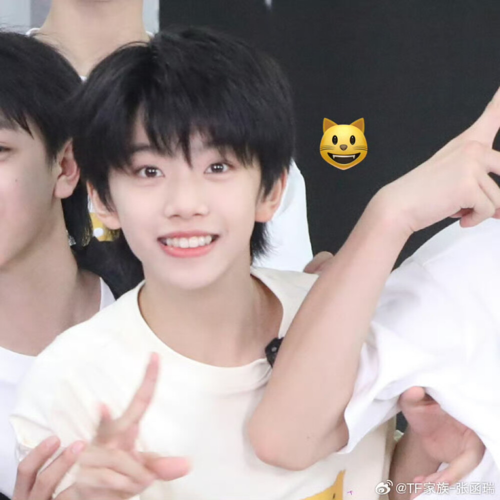 TF家族_张函瑞