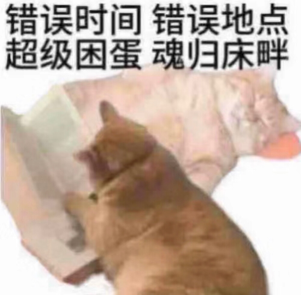 表情包