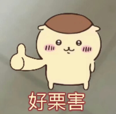 chiikawa表情包 - 高清图片，堆糖，美图壁纸兴趣社区