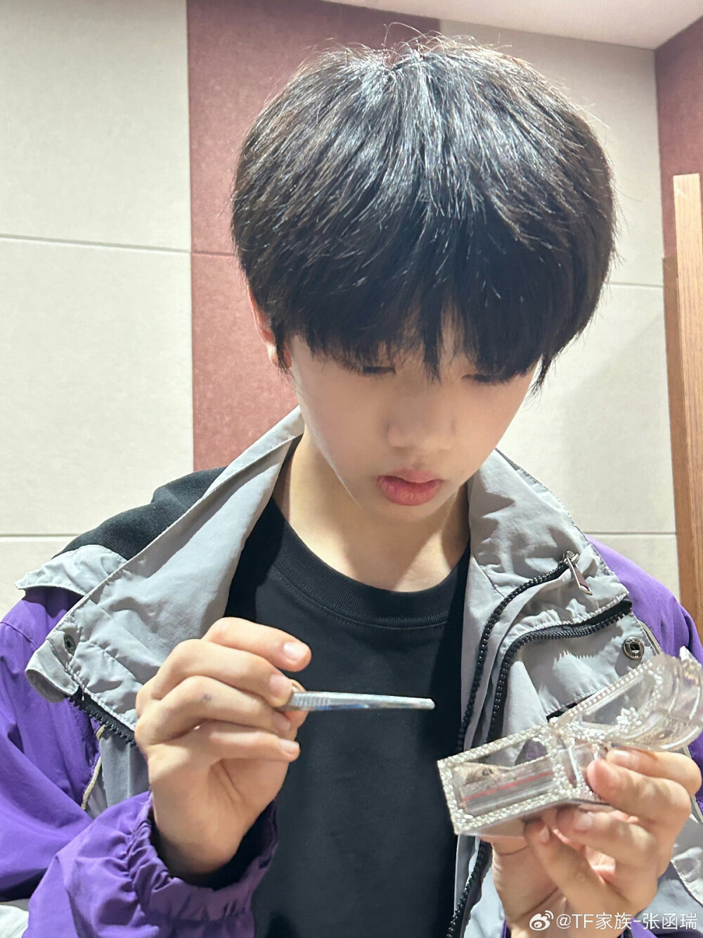 TF家族_张函瑞