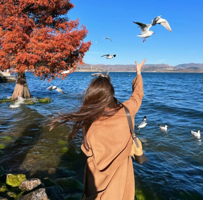 高级女头
我只是觉得一个人如果付出了善意，却没有得到回报，不应该是这样的。——《天官赐福》