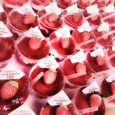 桃色リング・ポート☽Feux d'artifice brillants
IZLatte0831