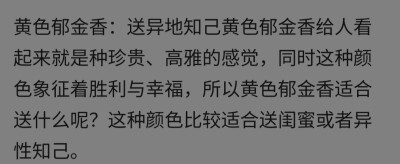 我想送他黄色郁金香