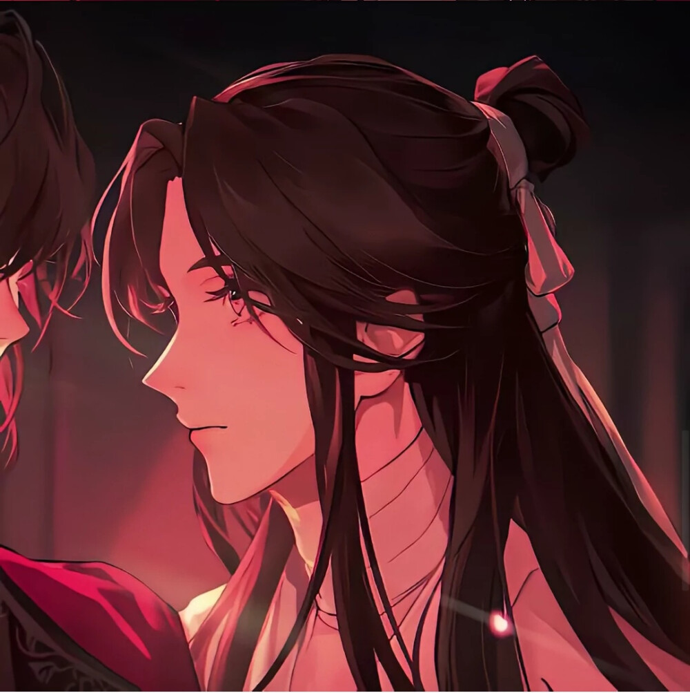 情侣头像天官赐福花城谢怜