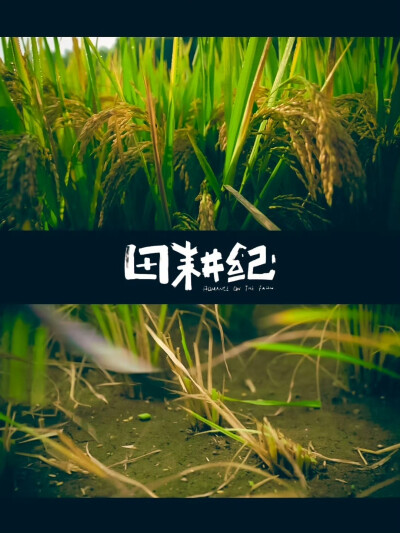 田耕纪
