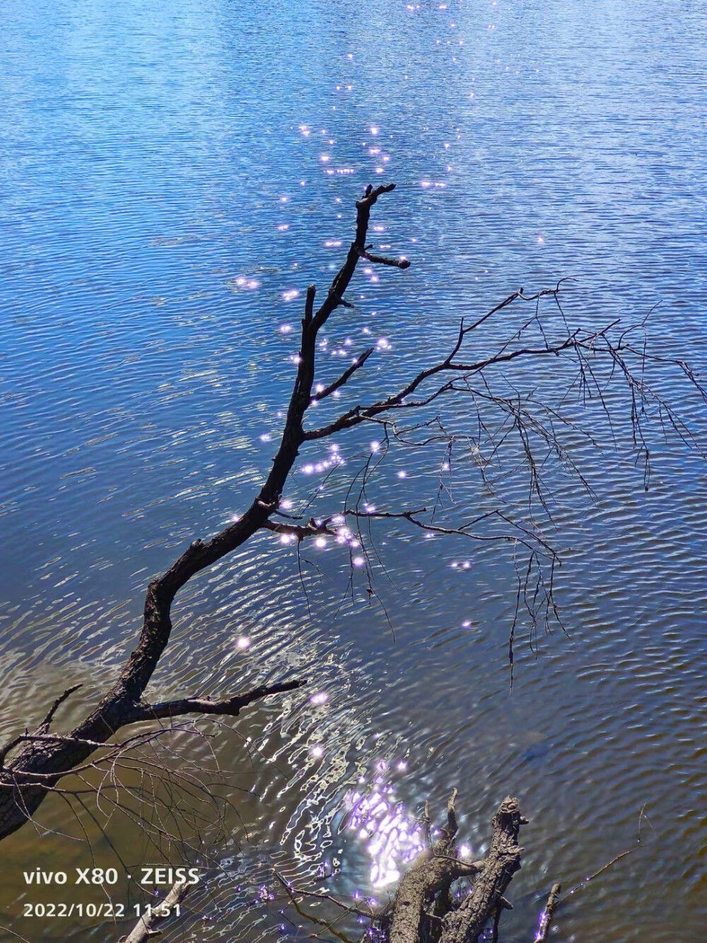    七星湿地，荷叶丢失了晶莹的露珠，布满了斑驳锈迹，洁傲的荷花不见了踪影，只有一片片残叶，孤零零的飘落在冰冷的水面上。而芦花脱掉了碧绿的外衣，摇曳着成熟的花絮，在阳光的映照下，展示着自我的轻盈。唯有那残砖断壁的辽代石佛寺，将永久屹立在七星山上。不远处的大辽河，依然在慢悠悠的流淌着……