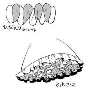花边褶皱的画法 - 高清图片,堆糖,美图壁纸兴趣社区