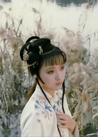 红楼梦
