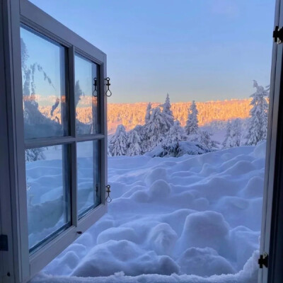 秋日 雪天 烟花 猫咪 背景图