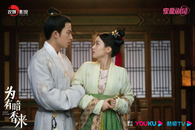 为有暗香来剧照，王涛周也主演