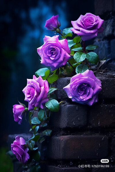 花草
