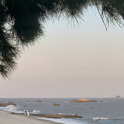 背景｜文案
秋叶繁多，根只有一条，在我青春说谎的日子里，我在阳光下招摇，现在，我萎缩成真理。