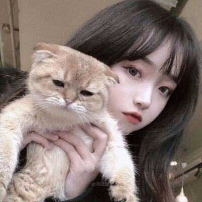 女头抱猫猫