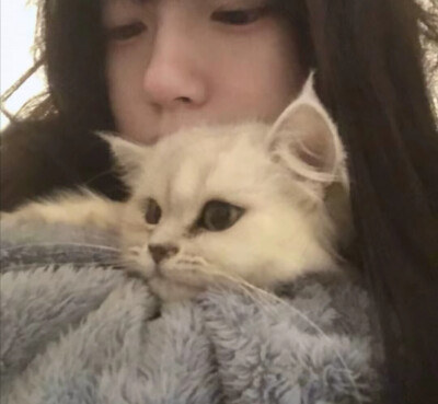 女头抱猫猫