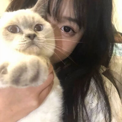 女头抱猫猫