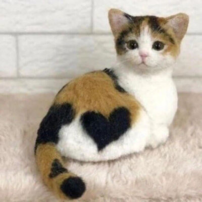 猫猫