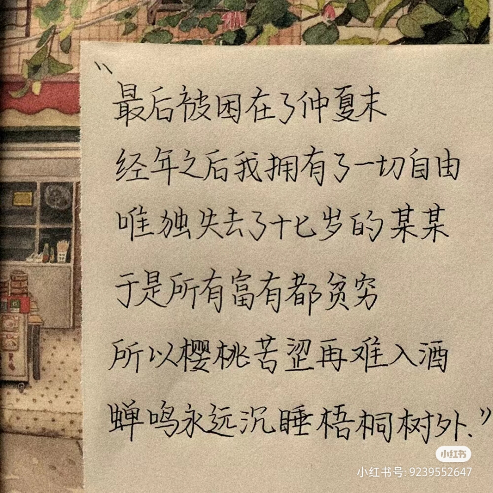 我的青春