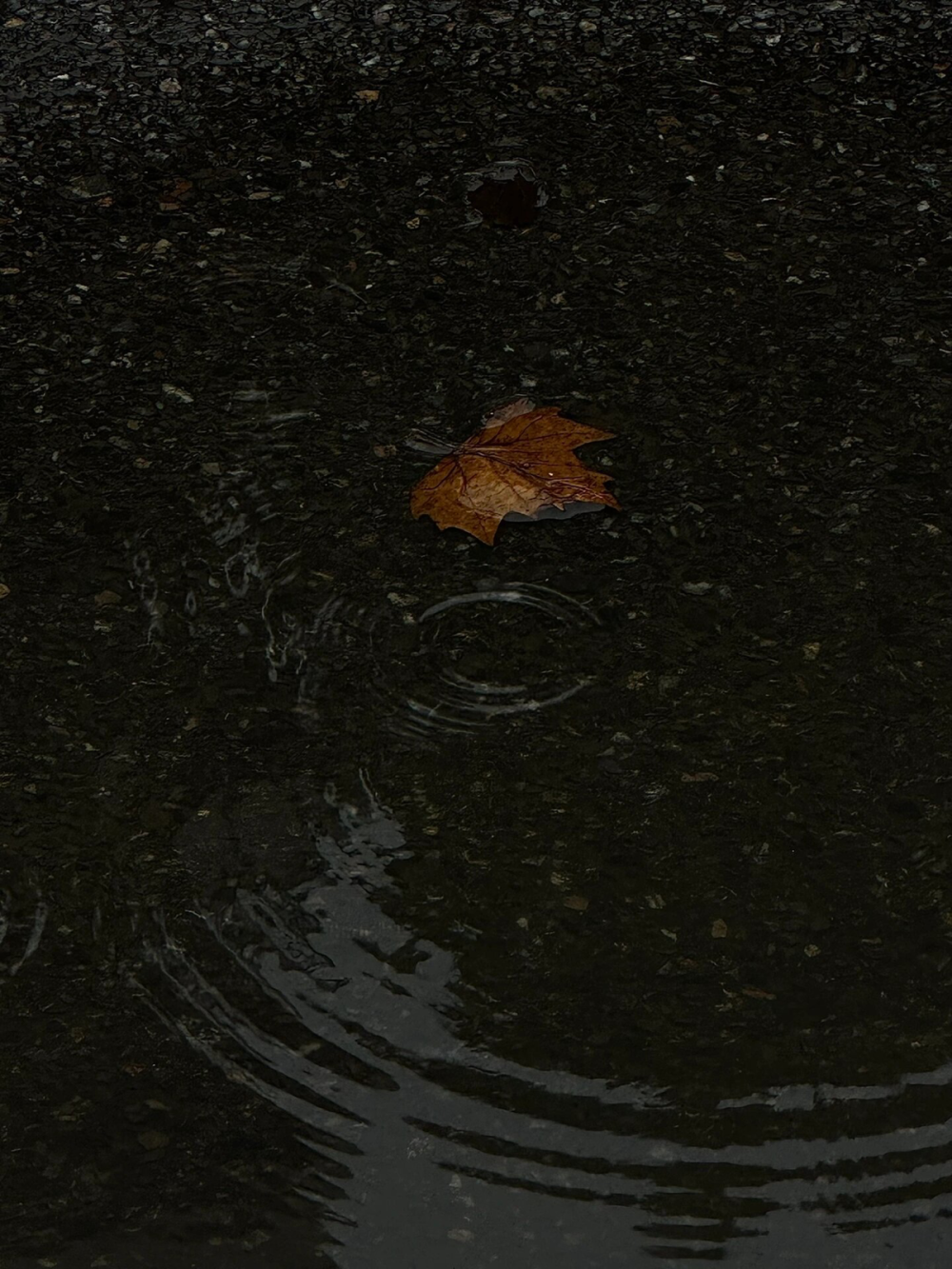 時雨繽紛