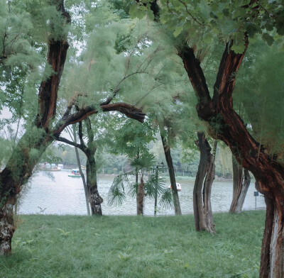 背景｜文案
金粉未消亡，闻得六朝香， 满天涯烟草断人肠怕催花信紧，风风雨雨，误了春光。