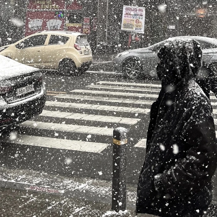 
直至冰雪消融之时 你再来爱我