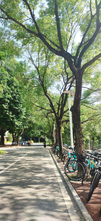 深圳大学