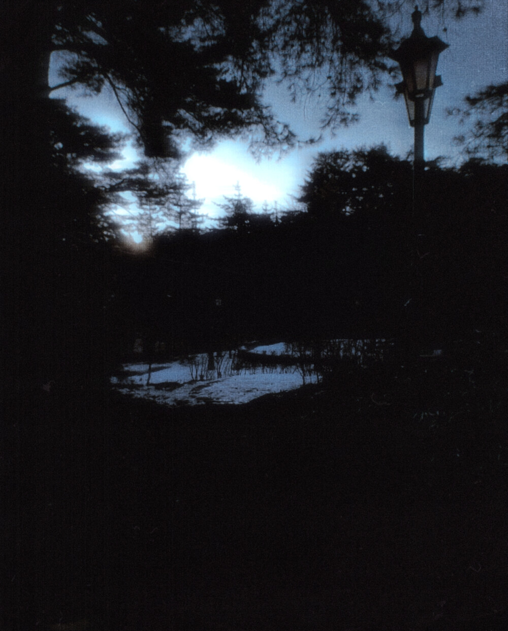 好久不见 是我们