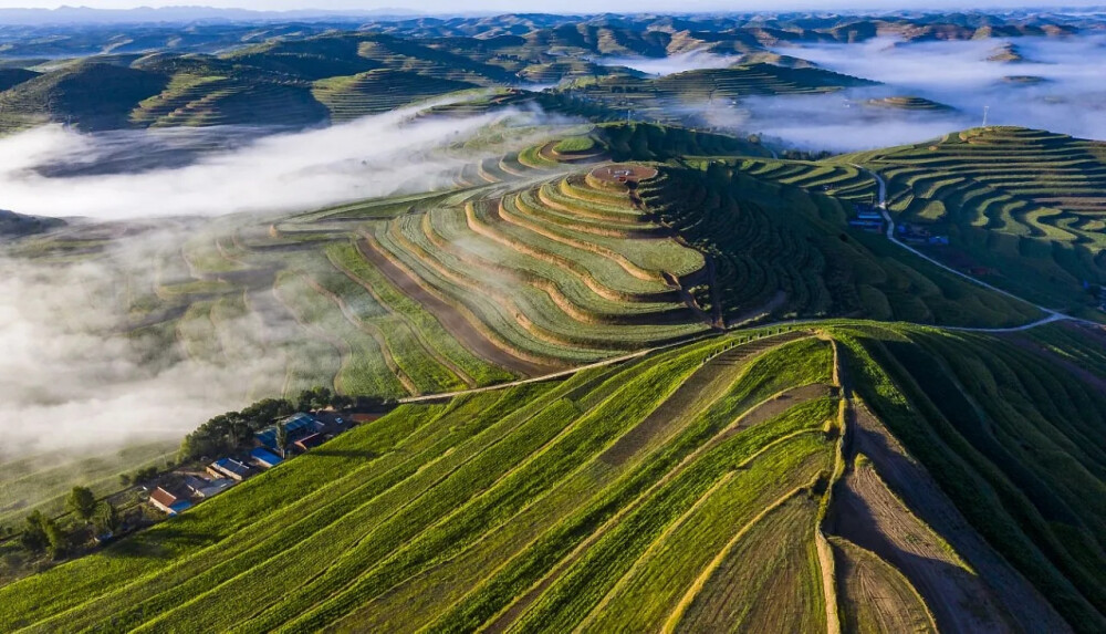 醉美旱塬梯田
盛夏八月，黄土高原上的醉美旱塬山川秀美、景色迷人、空气清新、天空蔚蓝。一座座青山紧相连，一层层梯田，一片片绿……各种农作物正茁壮成长。从高空俯瞰，层层梯田美景如画，沟壑纵横的山塬铺满了绿色的盛装，仿佛昭示着丰收的希望。
作者：甘肃省左雪兰