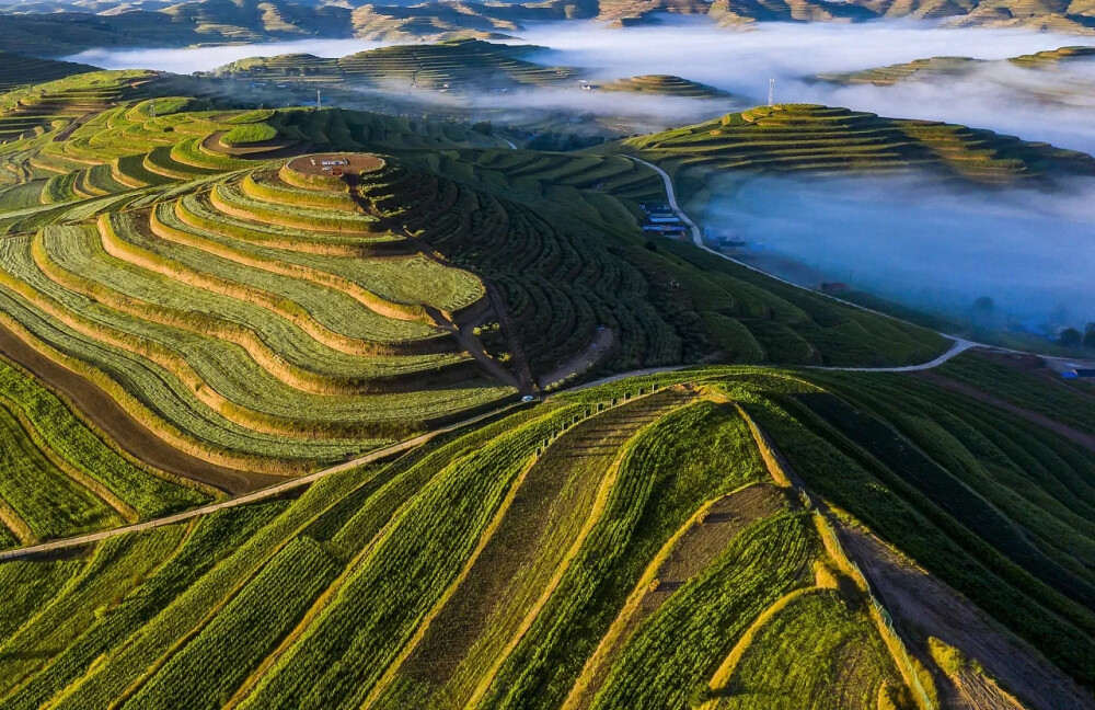 醉美旱塬梯田
盛夏八月，黄土高原上的醉美旱塬山川秀美、景色迷人、空气清新、天空蔚蓝。一座座青山紧相连，一层层梯田，一片片绿……各种农作物正茁壮成长。从高空俯瞰，层层梯田美景如画，沟壑纵横的山塬铺满了绿色的盛装，仿佛昭示着丰收的希望。
作者：甘肃省左雪兰