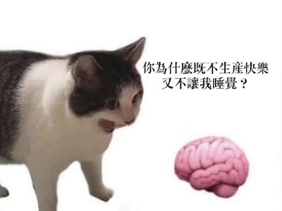 迷因 meme
侵权删