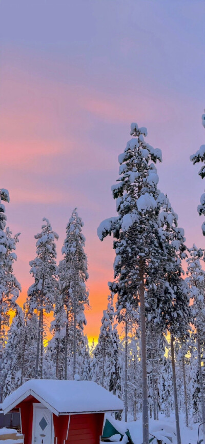 雪景壁纸