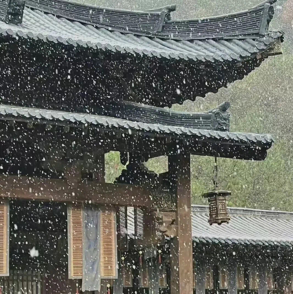 雨滴飘落之时我们相恋在城市的中心