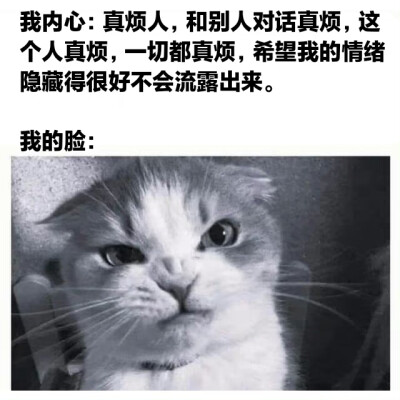 迷因 meme
侵权删