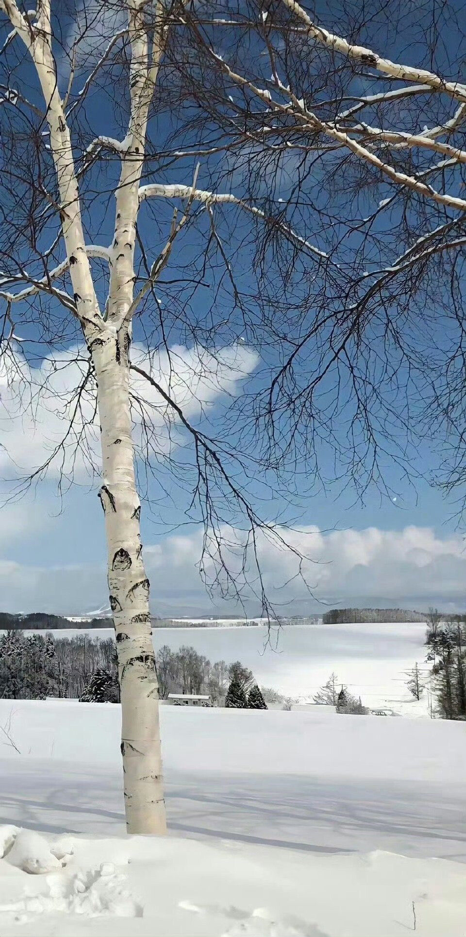 雪景壁纸