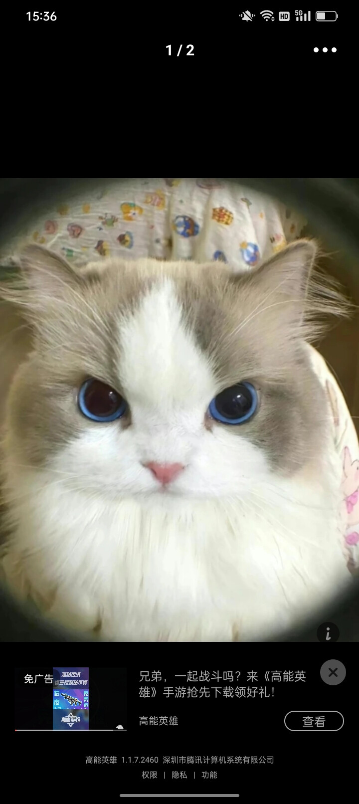 这是我从堆糖的专辑里搞的。
