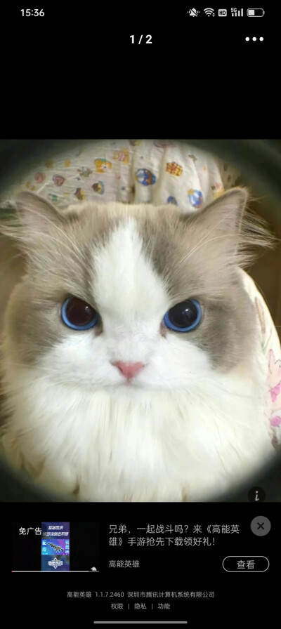 这是我从堆糖的专辑里搞的。
