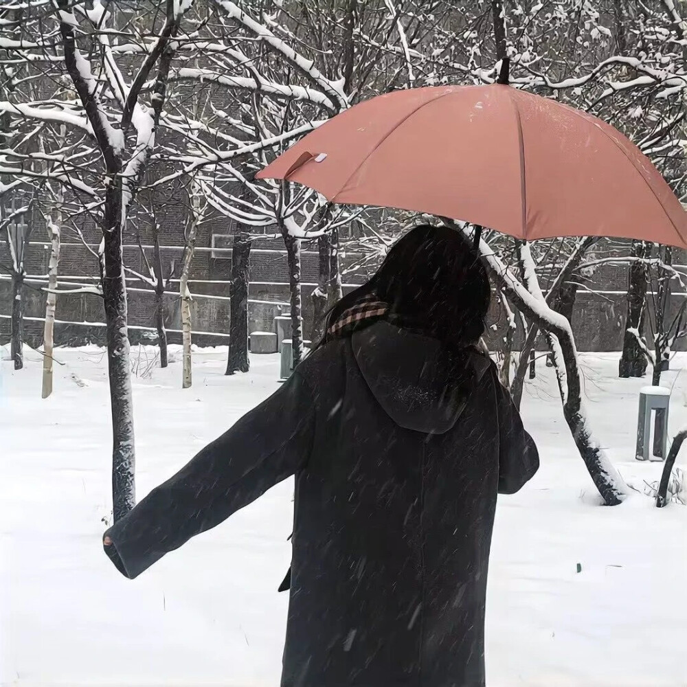 女生 冬天 头像 雪