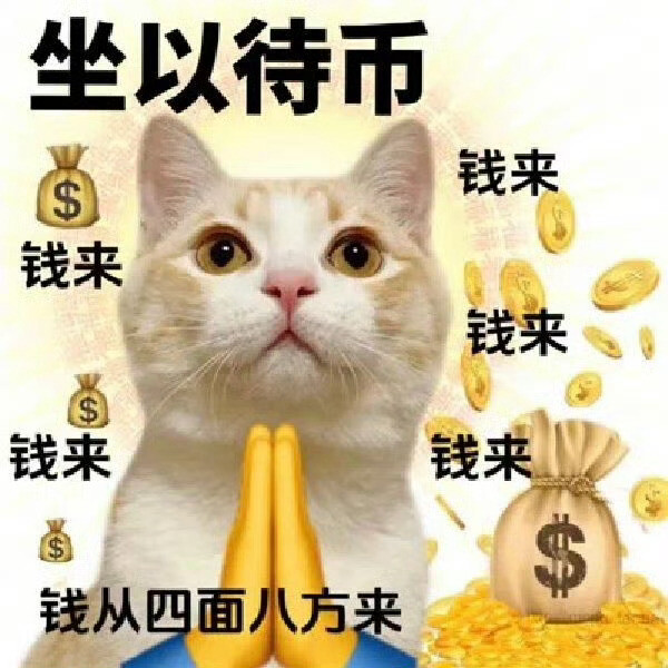 猫咪表情包