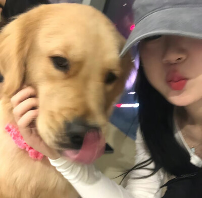 威士忌柠檬片冰水都已经准备好了剩下的时间就交给音乐和小说
