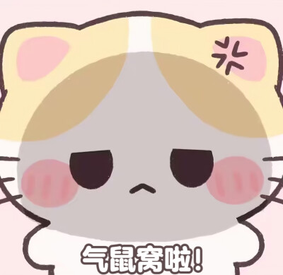 小甜淇