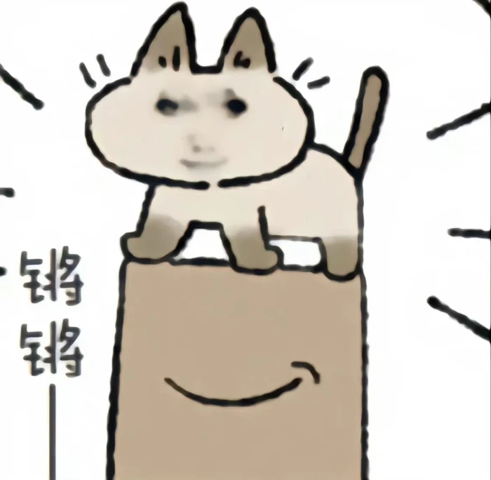 龙猫