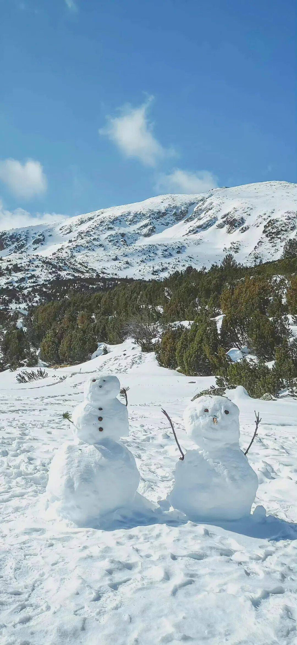 冬季雪人 手機(jī)壁紙