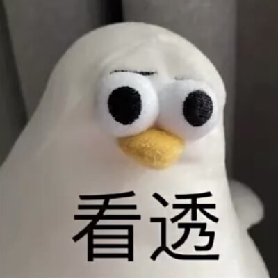 表情包