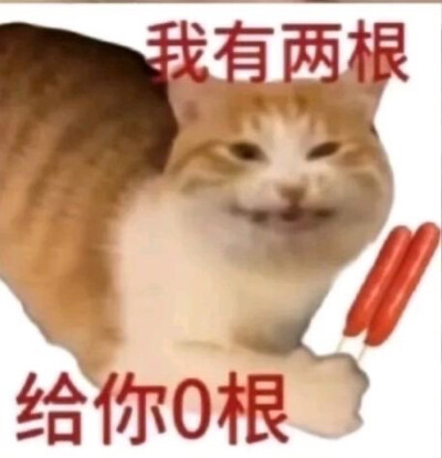 沙雕猫咪表情包