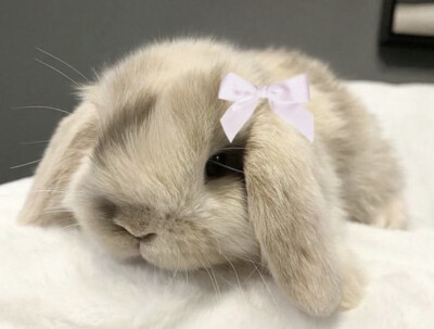 ‬♡‬