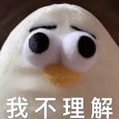 表情包