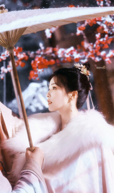 姜雪宁×白鹿
cr：烟波里的棠