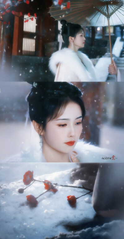 姜雪宁×白鹿
cr：烟波里的棠