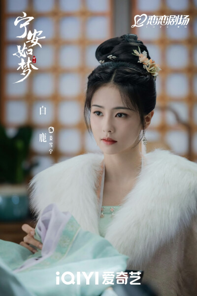 宁安如梦剧照，张凌鹤王涛主演