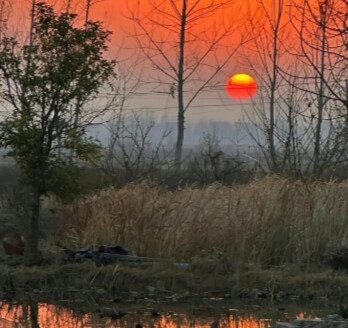 壁纸照片，夕阳(ღ♡‿♡ღ)