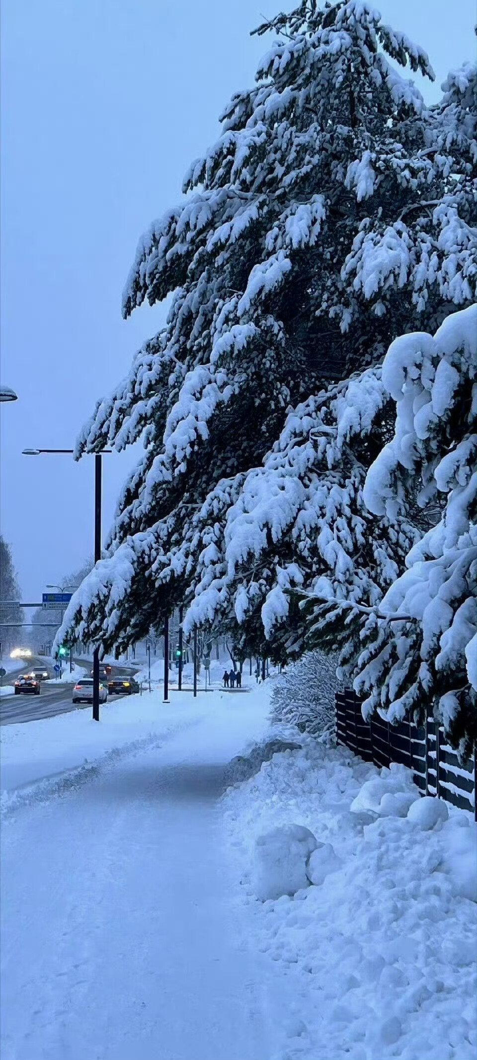 雪景壁纸